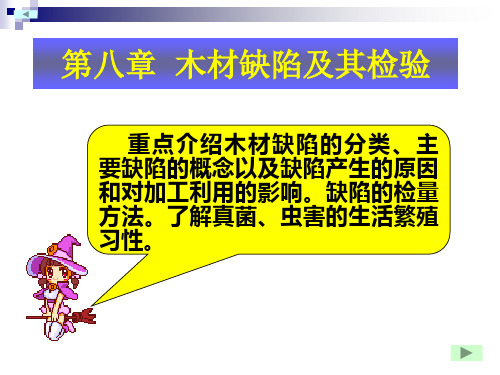 第八章木材缺陷