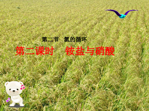 鲁科版化学必修一3.2氮的循环精品课件PPT