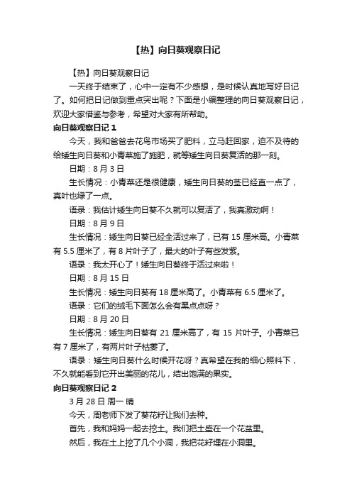 【热】向日葵观察日记