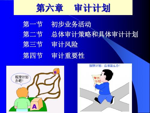审计计划基础知识(ppt 82页)