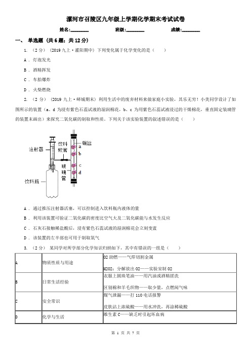 漯河市召陵区九年级上学期化学期末考试试卷