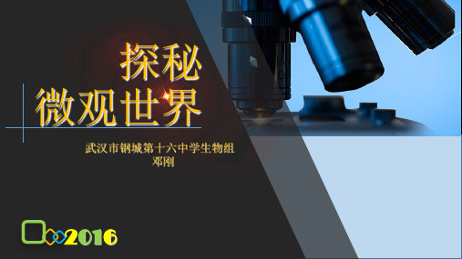 探秘微观世界PPT精选文档