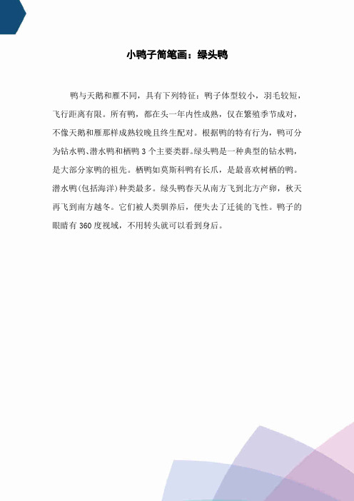 小鸭子简笔画：绿头鸭