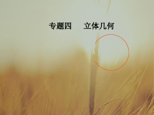 最新-2021高考新课标数学理二轮专题复习课件：专题四第1讲立体几何中的计算与位置关系 精品