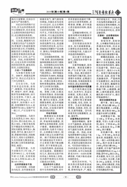 介绍一下乌骨绵羊