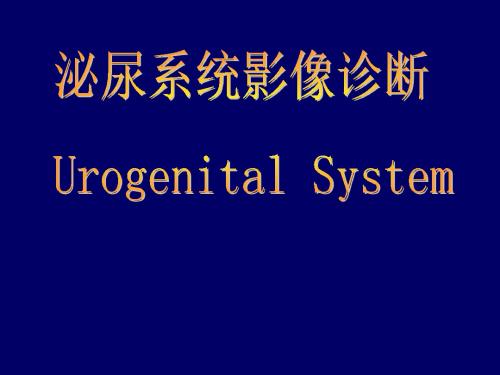 泌尿系统影像学表现详细、全面ppt课件
