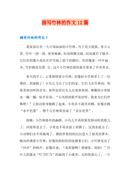 描写竹林的作文12篇