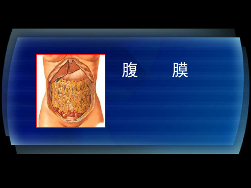 腹膜