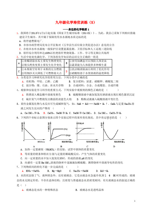 九年级化学培优试题5
