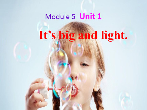 小学英语《Module5 Unit1 It's big and light》优质教学课件