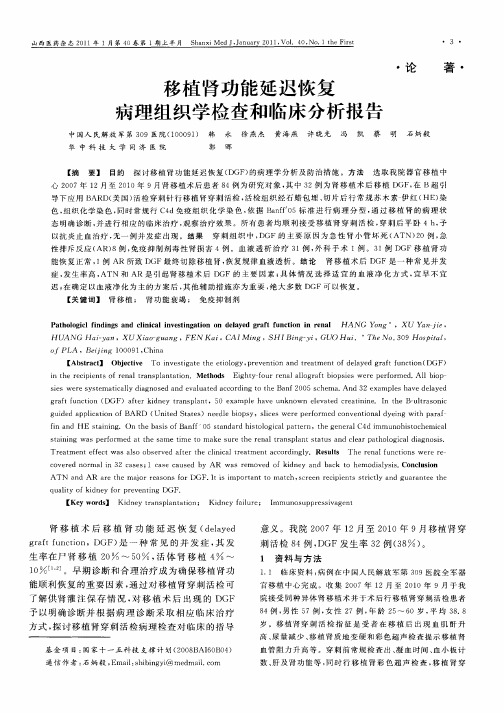 移植肾功能延迟恢复病理组织学检查和临床分析报告