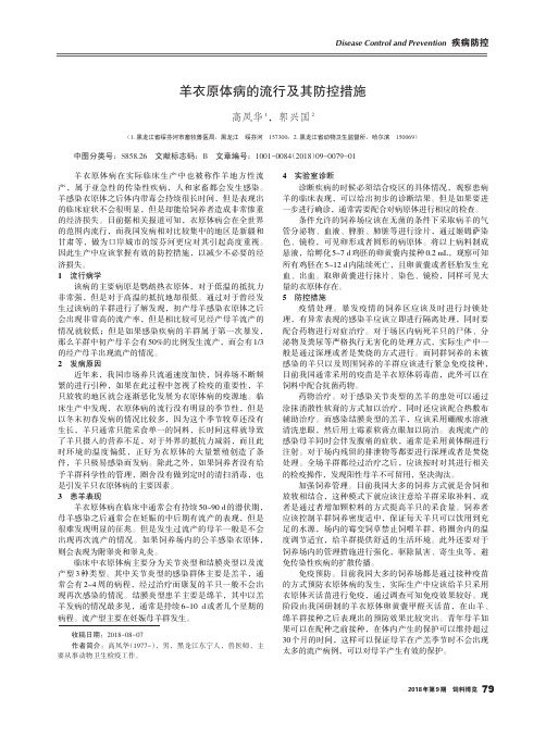 羊衣原体病的流行及其防控措施