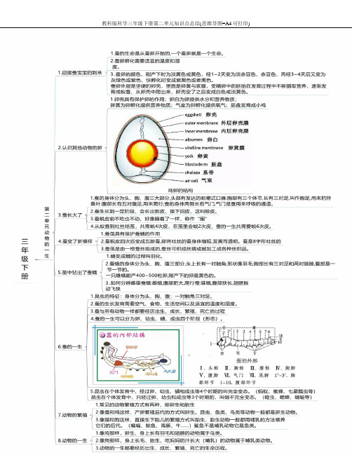 教科版科学三年级下册第二单元知识点总结(思维导图=A4可打印)