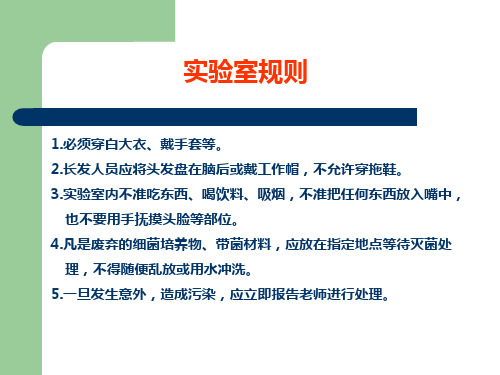 实验1.直接凝集实验