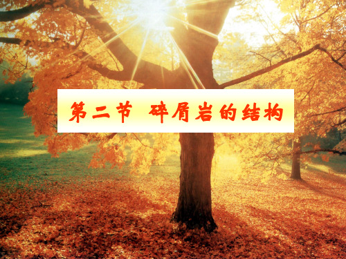 第三章 陆源碎屑岩的特征-结构