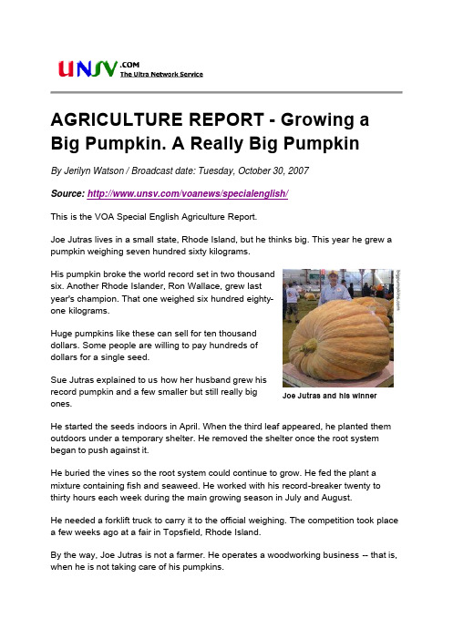 AGRICULTURE REPORT - Growing a Big Pumpkin. A Really Big Pumpkin
