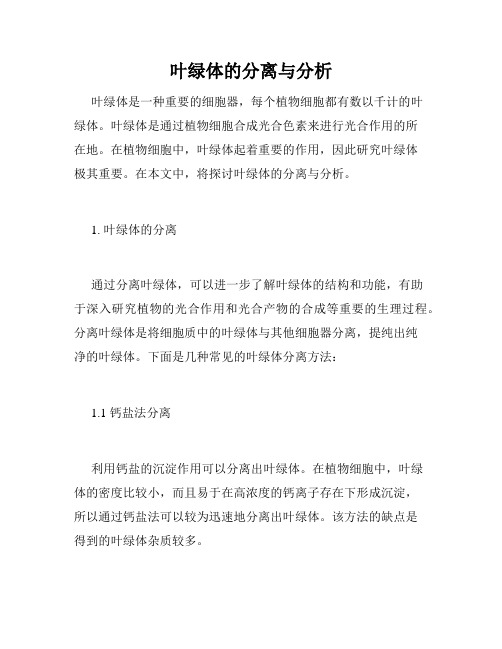 叶绿体的分离与分析
