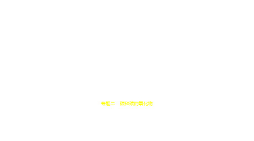 2021年河南中考化学复习练习课件：02专题二 碳和碳的氧化物