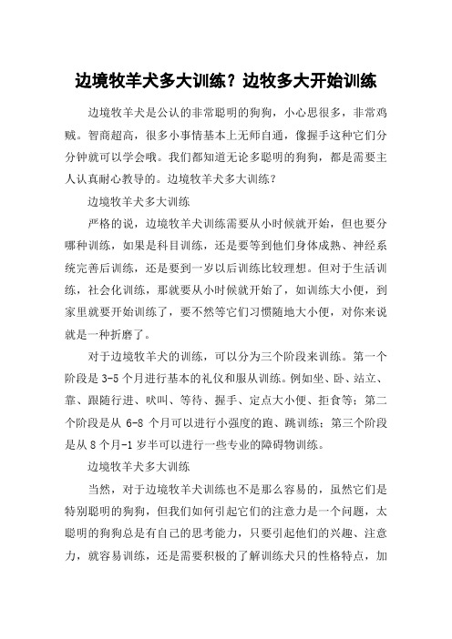 边境牧羊犬多大训练？边牧多大开始训练