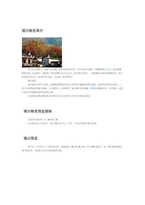 塔川秋色简介