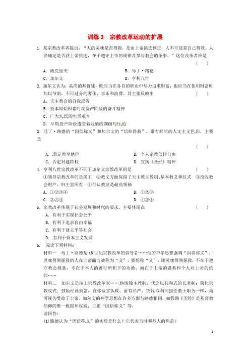 高中历史 第五单元 训练3宗教改革运动的扩展 新人教版