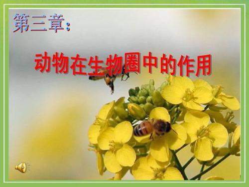 动物在自然界中的作用PPT