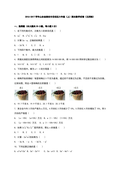 山东省泰安市岱岳区2016-2017学年六年级(上)期末数学试卷(五四制)(解析版)