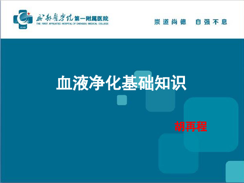 血液净化基础知识PPT课件