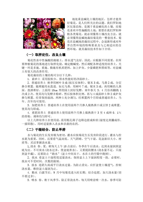 取样定位,改良土壤