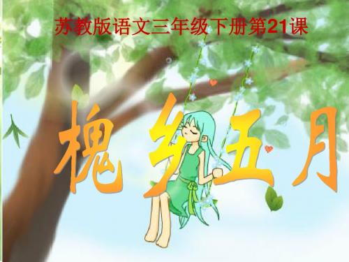 苏教版三下《槐乡五月》课件