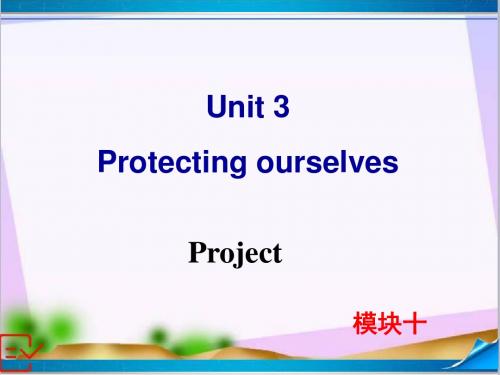 新牛津译林版高中英语Module 10 Unit 3 Project 课件