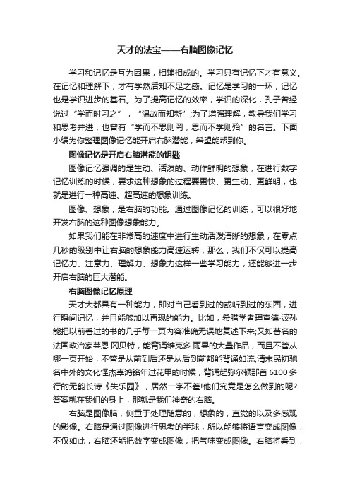 天才的法宝——右脑图像记忆