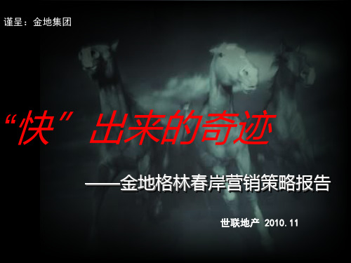武汉金地格林春岸营销策略报告