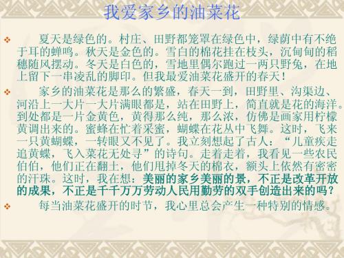 我爱家乡的油菜花