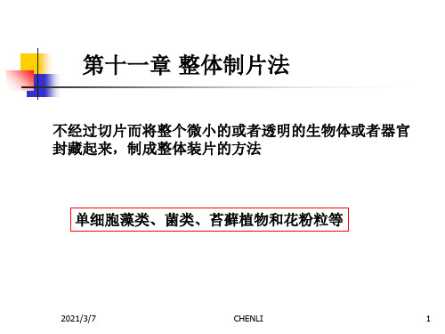 生物显微技术PPT课件