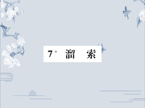 《溜索》精品课件部编版1