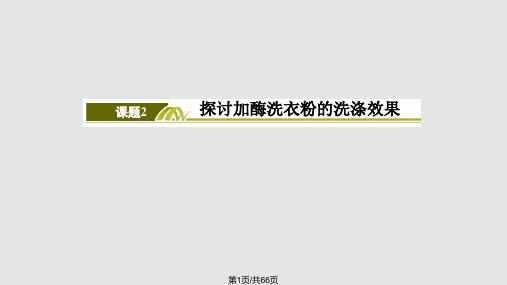 高中生物选修一专题四课题二PPT课件