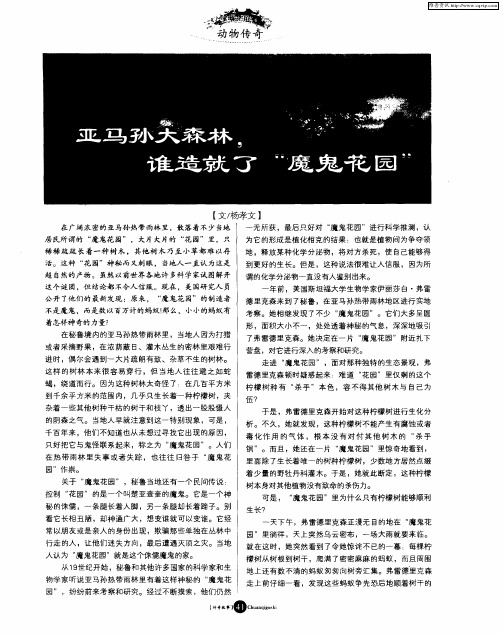 亚马孙大森林,造就了“魔鬼花园”