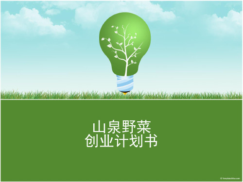 山泉野菜创业计划书