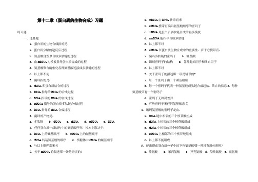 蛋白质的生物合成