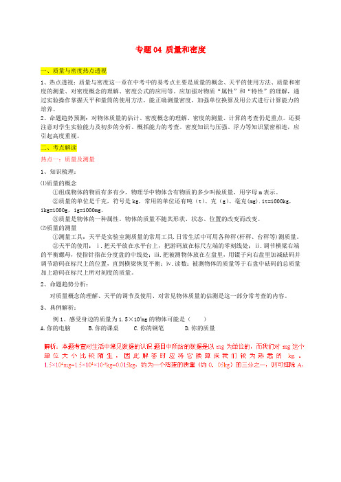 中考物理热点解析 专题04 质量和密度