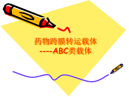 药物跨膜转运载体(doctor)