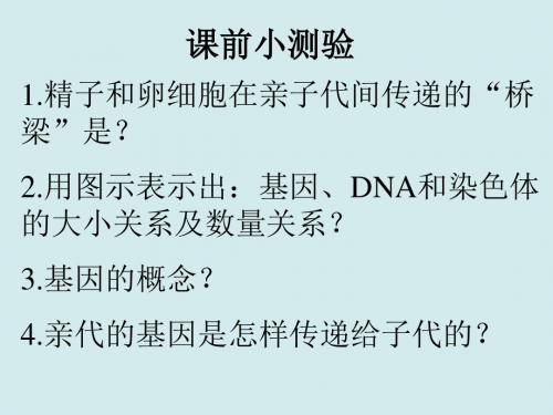 人教版生物八年级下册 7.2.3基因的显性与隐性(共39ppt)