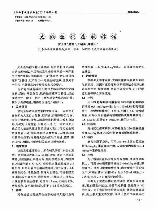 犬低血钙症病的诊治