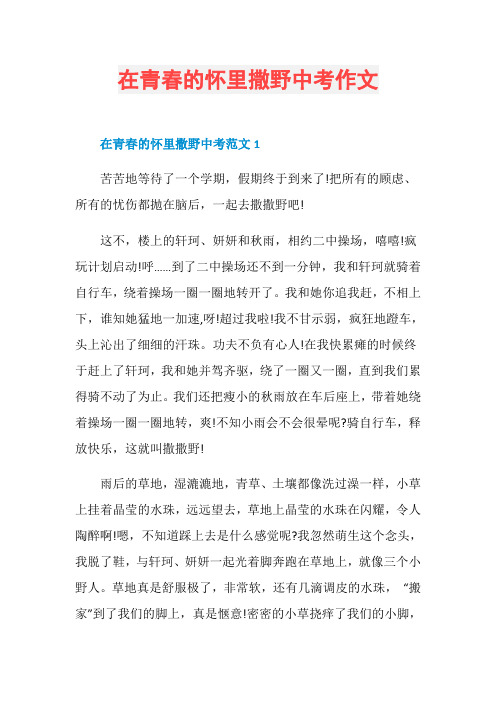 在青春的怀里撒野中考作文