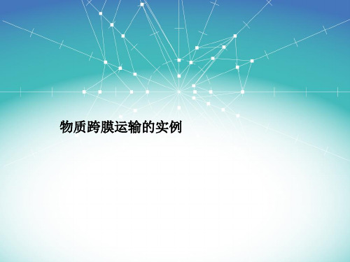 物质跨膜运输的实例 课件