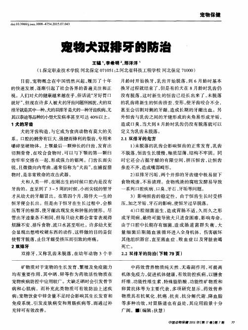 宠物犬双排牙的防治
