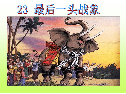 23最后一头战象