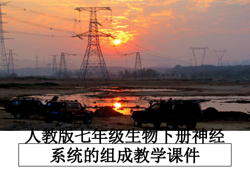最新人教版七年级生物下册神经系统的组成教学课件ppt课件