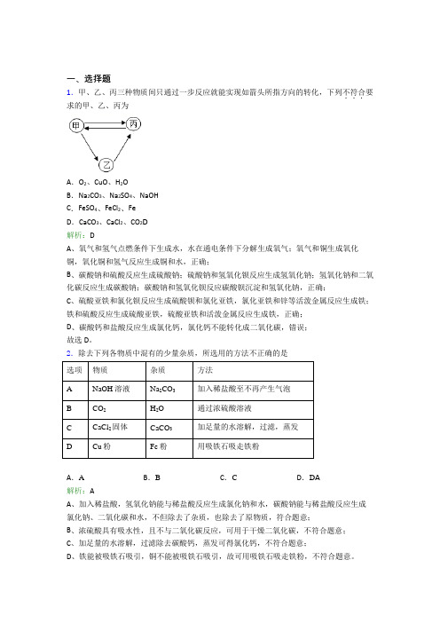 《常考题》初中九年级化学下册第十一单元《盐 化肥》知识点总结(含答案解析)